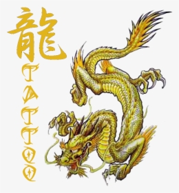 Green Dragon Tattoo Designs, HD Png Download, Transparent PNG