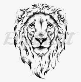 Lion Face - Outline Lion Face Drawing, HD Png Download, Transparent PNG