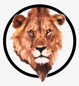 Lion Circle, HD Png Download, Transparent PNG