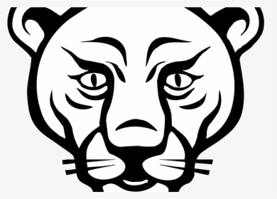 Transparent Lion Clipart Black And White - Easy Lioness Face Drawing, HD Png Download, Transparent PNG