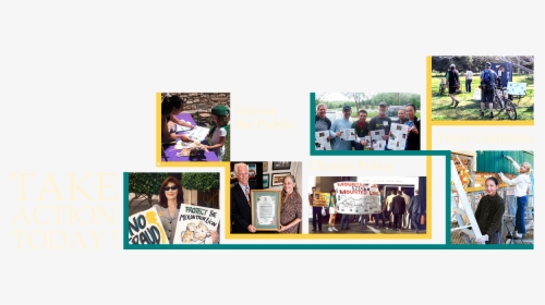 Montage Of Photographs Of Mlf Activists - Flyer, HD Png Download, Transparent PNG