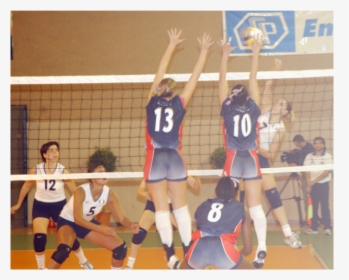 Picture - Volleyball Game Related, HD Png Download, Transparent PNG