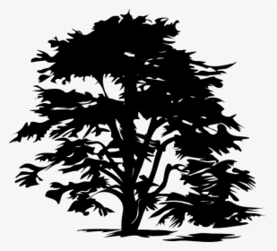 Black Tree Clipart Free, HD Png Download, Transparent PNG