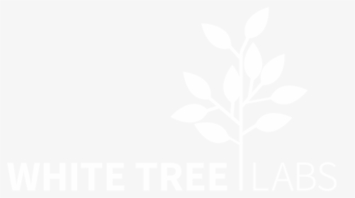 White Tree Labs - Flower, HD Png Download, Transparent PNG