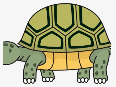 Turtoise Clipart Desert Tortoise - Clip Art Tortoise, HD Png Download, Transparent PNG