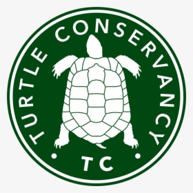 Turtle Conservancy - American League Champs 2019, HD Png Download, Transparent PNG