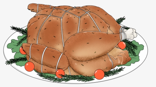 Turkey Ended Up In Bondage - Tortoise, HD Png Download, Transparent PNG