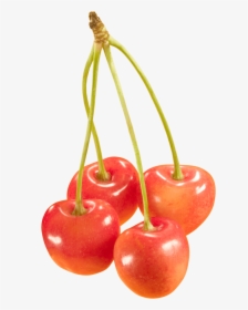 Cherries Png Image - Orange Cherries Png, Transparent Png, Transparent PNG
