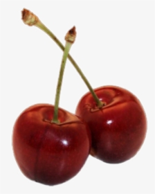 #cherry #cherrys #red #redaesthetic #sticker #png #freetoedit - Aesthetic Fillers Png, Transparent Png, Transparent PNG