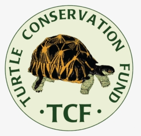 Turtle Conservation Fund, HD Png Download, Transparent PNG