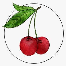 Attribute Motif Cherries - Cherry, HD Png Download, Transparent PNG