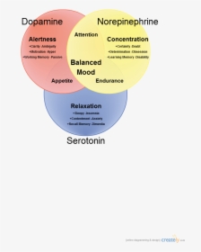 Dopamine Norepinephrine Serotonin - Serotonin Norepinephrine Dopamine Venn Diagram, HD Png Download, Transparent PNG