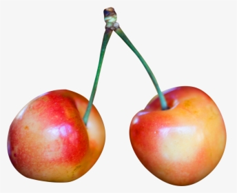 Rainier Cherries Png Image - Rainier Cherry Png, Transparent Png, Transparent PNG