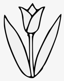 Tulip Flower Clipart Black And White, HD Png Download, Transparent PNG