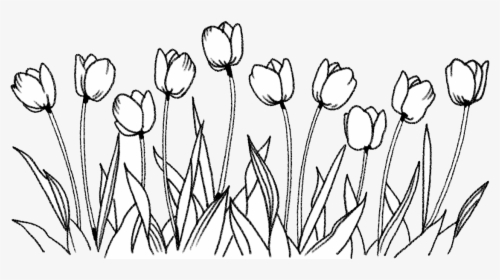 Sensitive Subject And Health Research - Flower Drawing Png, Transparent Png, Transparent PNG