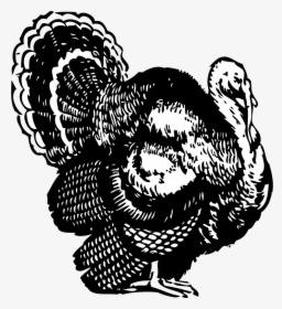 Cooked Thanksgiving Turkey Clipart Png Black And White - Turkey Black And White Clipart, Transparent Png, Transparent PNG