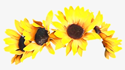 #autumn #fall #headband #sun #sunflower #sunflowerheadbands - Sunflower Flower Crown Png, Transparent Png, Transparent PNG