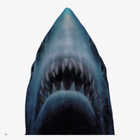 Thumb Image - Jaws Shark Transparent Background, HD Png Download, Transparent PNG