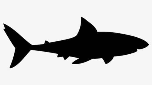 Shark Silhoutee, HD Png Download, Transparent PNG