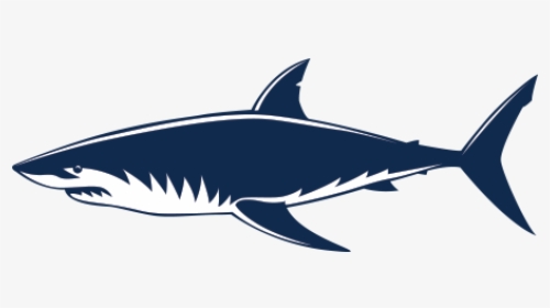 Requiem Sharks Great White Shark Shark Jaws - Shark Vector Png, Transparent Png, Transparent PNG