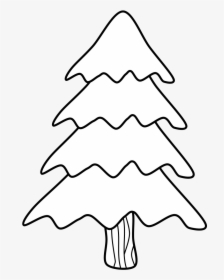 Tree, Evergreen, Black And White - Christmas Tree, HD Png Download, Transparent PNG