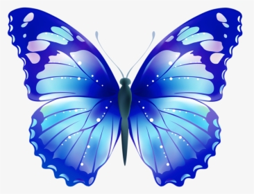 Pink Transparent Background Butterfly, HD Png Download, Transparent PNG