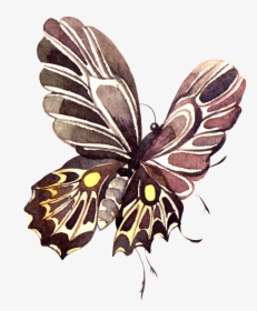 Pintado A Mano De Color Marron Oscuro Mariposa Png - Swallowtail Butterfly, Transparent Png, Transparent PNG