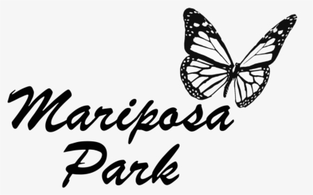 Mariposa Park - Pieridae, HD Png Download, Transparent PNG