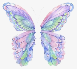 #mariposa #arco Iris🌈 #alas #cool #tumblr #selfie - Qlas De Mariposa Png, Transparent Png, Transparent PNG