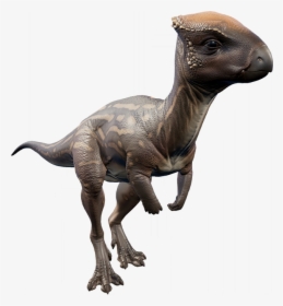   - Jurassic World Evolution Dinosaurs Herbivore, HD Png Download, Transparent PNG