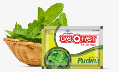 Gaso Fast Pudina - Gasofast, HD Png Download, Transparent PNG