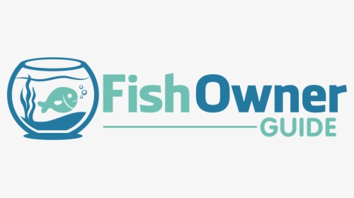 Fish Owner Guide - Graphic Design, HD Png Download, Transparent PNG