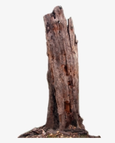 Tree Trunk Branch Wood - Transparent Background Tree Trunk Png, Png Download, Transparent PNG
