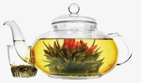 Daisy 40 Oz Glass Teapot No Background - Clear Teapot With Flower, HD Png Download, Transparent PNG