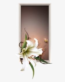 Lily Vector Border - White Flower Border Transparent, HD Png Download