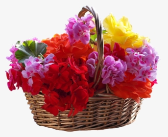 Top Flower Images For Whatsapp And Facebook - Flower, HD Png Download, Transparent PNG