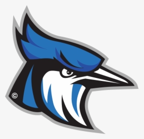 Raytown Blue Jays Football, HD Png Download, Transparent PNG