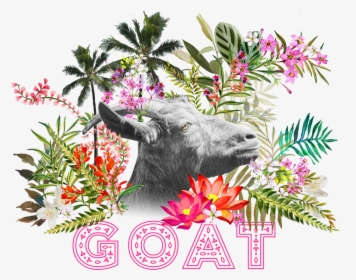 Goat Festival Logo - Zebu, HD Png Download, Transparent PNG