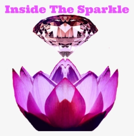 Inside The Sparkle - Water Lily, HD Png Download, Transparent PNG