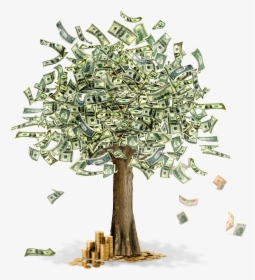 Money Tree With Dollars, HD Png Download, Transparent PNG