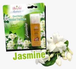 Transparent Background Jasmine Flower Png, Png Download, Transparent PNG
