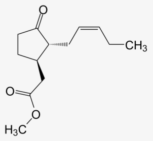Methyl Jasmonate - Astragalus Membranaceus Structure Chemical, HD Png Download, Transparent PNG