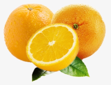 Orange Fruit Png Images Free Download Searchpng - Orange, Transparent Png, Transparent PNG