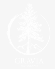 Gravia Logo - White Raven, HD Png Download, Transparent PNG