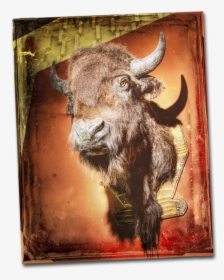 Buffalo-head - Ox, HD Png Download, Transparent PNG