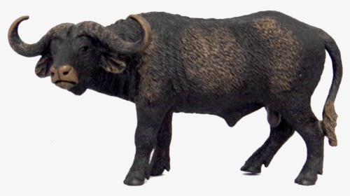 African Buffalo Free Png Images - Schleich African Buffalo, Transparent Png, Transparent PNG