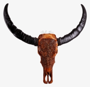 Buffalo Horns Png, Transparent Png, Transparent PNG
