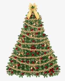 Tress Png, Transparent Png, Transparent PNG