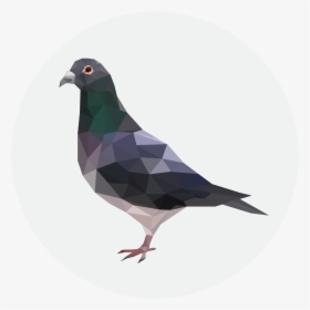 Critical Role Metagaming Pigeon , Png Download - Cool Background Pigeon, Transparent Png, Transparent PNG