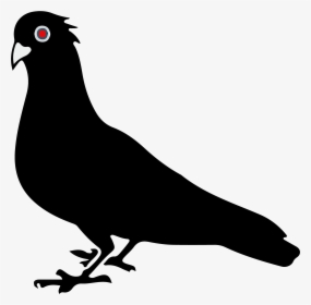 Black Pigeon, HD Png Download, Transparent PNG